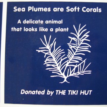 snorkeltrailsigns 011 snorkeltrailsigns 011