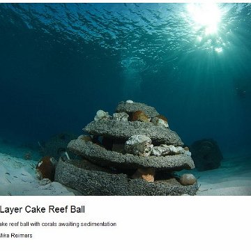 Turks and Caicos Reef Ball Projects and Photos