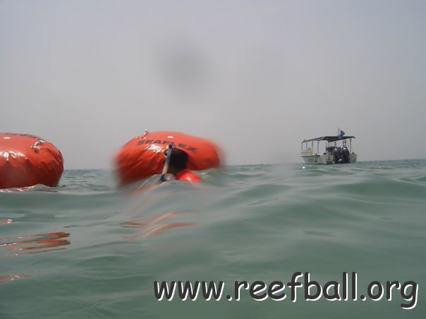 5253_102965891993_684896993_2702704_1952180_n