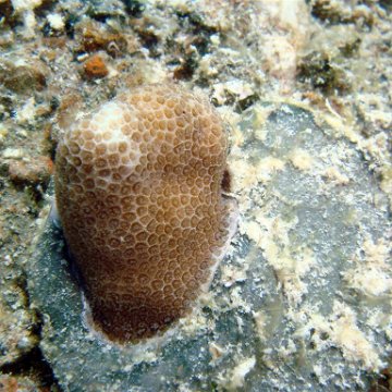 DSC00997
