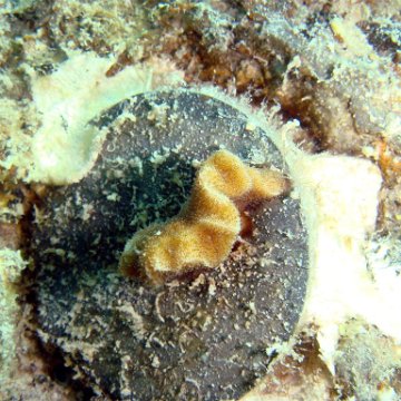 DSC01005