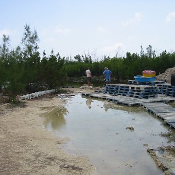 IMG_0012 IMG_0012