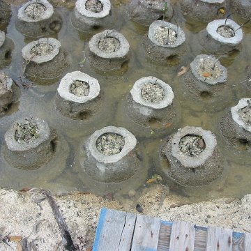 IMG_4800 IMG_4800