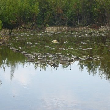 IMG_4805 IMG_4805