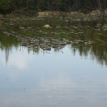 IMG_4806 IMG_4806