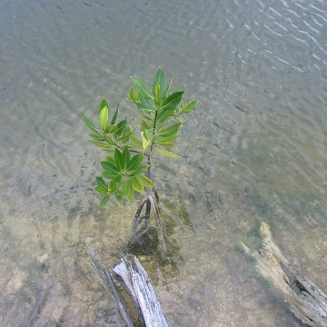 IMG_4807 IMG_4807