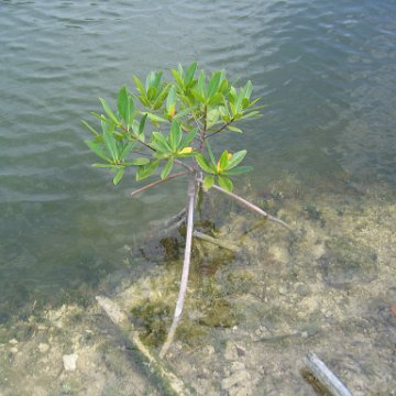 IMG_8182 IMG_8182