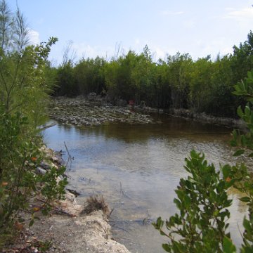 IMG_8186 IMG_8186