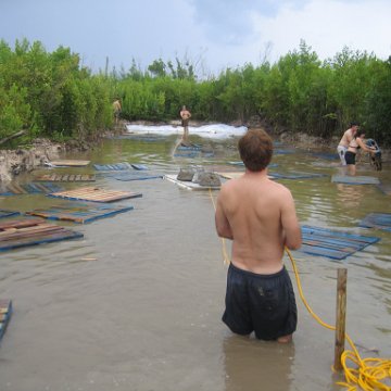 IMG_7234 IMG_7234